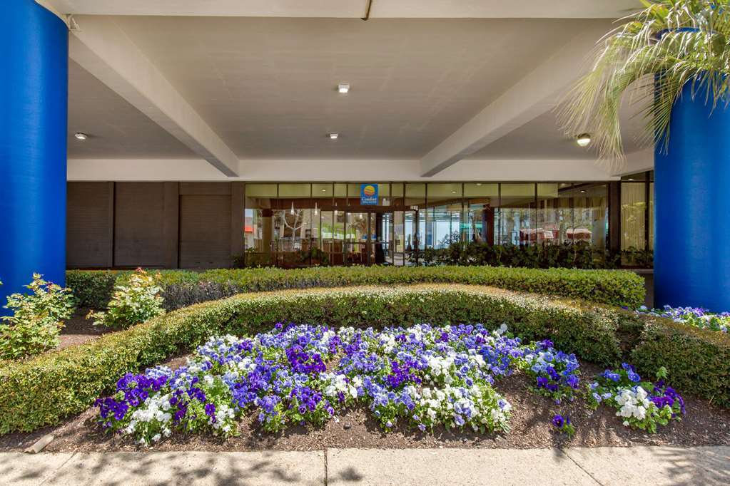 Coastal Hotel & Suites Virginia Beach - Oceanfront Esterno foto